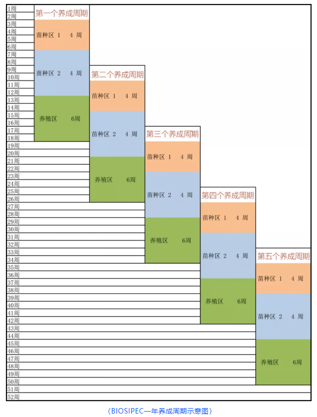 车虾的养殖技术_虾养殖厂_虾养殖技术教程