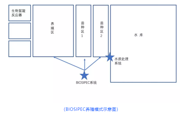 虾养殖厂_虾养殖技术教程_车虾的养殖技术