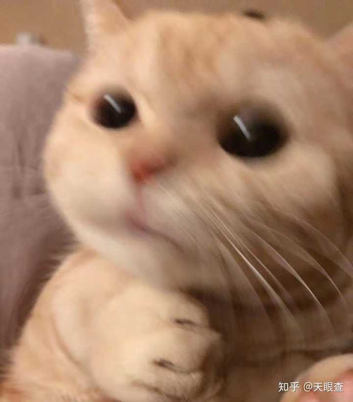 广西梁春致富经_广西梁春球_广西致富能人