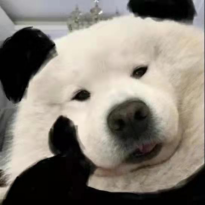 广西致富能人_广西梁春球_广西梁春致富经