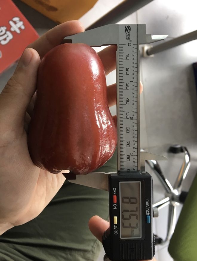 莲雾种植技术和适宜气候条件_雾莲种植技术_莲雾种植技术与管理视频