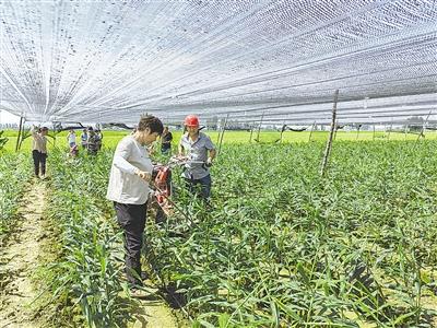 致富经姜_致富经姜俊视频_cctv7致富经姜视频