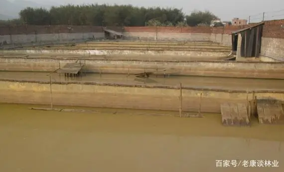 中华鳖养殖技术视频_致富经养殖 中华鳖_致富养殖中华鳖怎么样