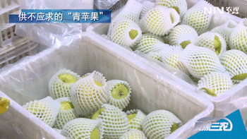 致富种植苹果方法视频_高效种植苹果视频_致富苹果种植方法