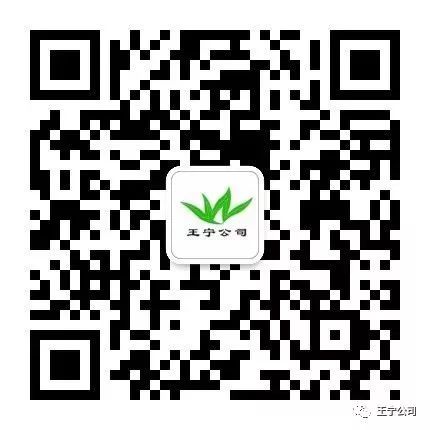 甜瓜的种植技术_种植甜瓜技术要点_种植甜瓜技术与管理