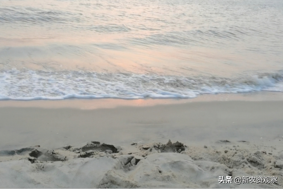 海南哈密爪种植技术_海南种哈密瓜第二季最怕什么_海南哈密瓜栽培技术