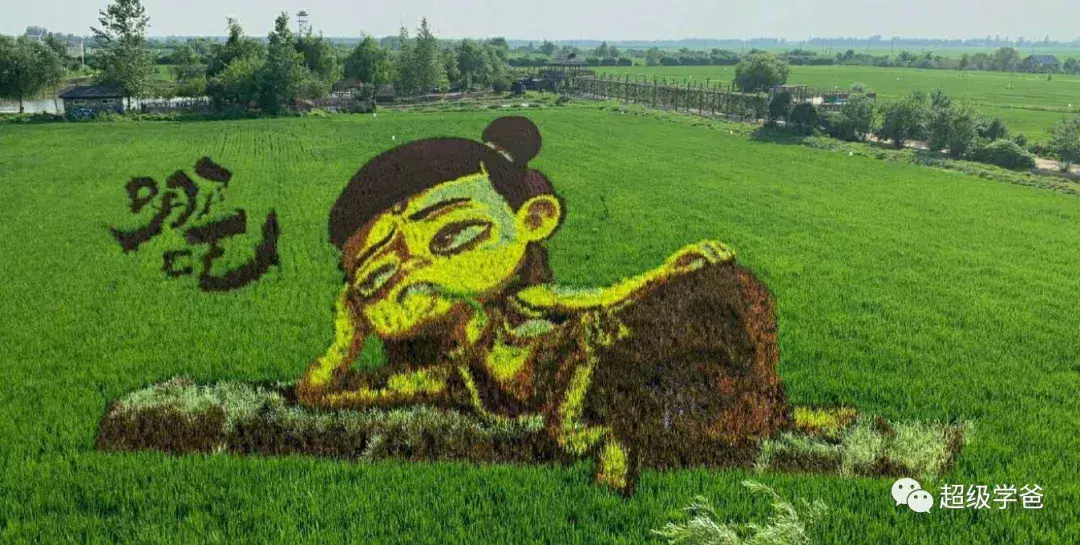 致富经养殖青蛇视频_视频致富养殖青蛇是真的吗_养青蛇好吗