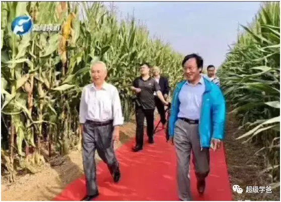 致富经养殖青蛇视频_养青蛇好吗_视频致富养殖青蛇是真的吗