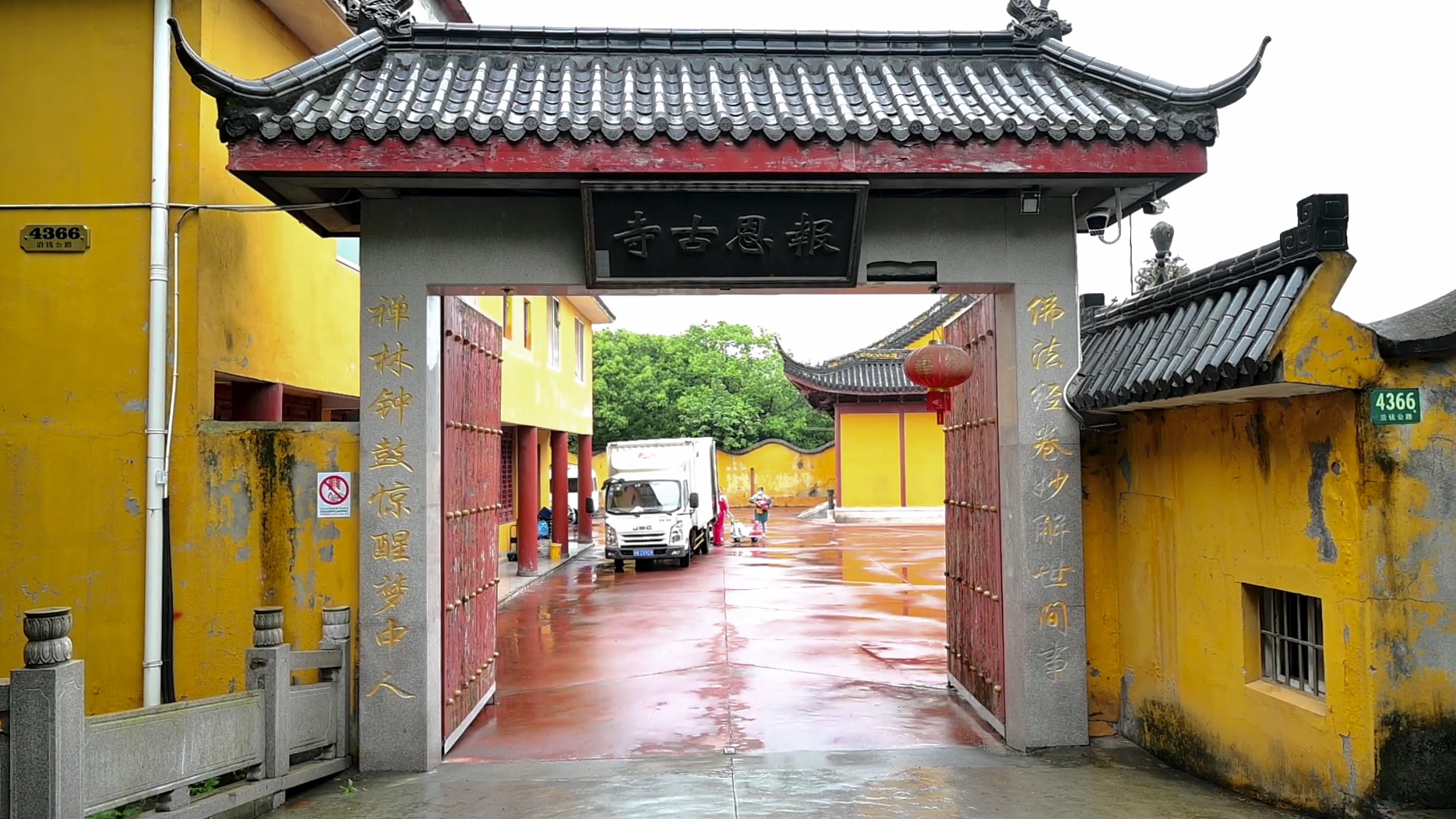 上海古寺住持与他救的4500条流浪狗