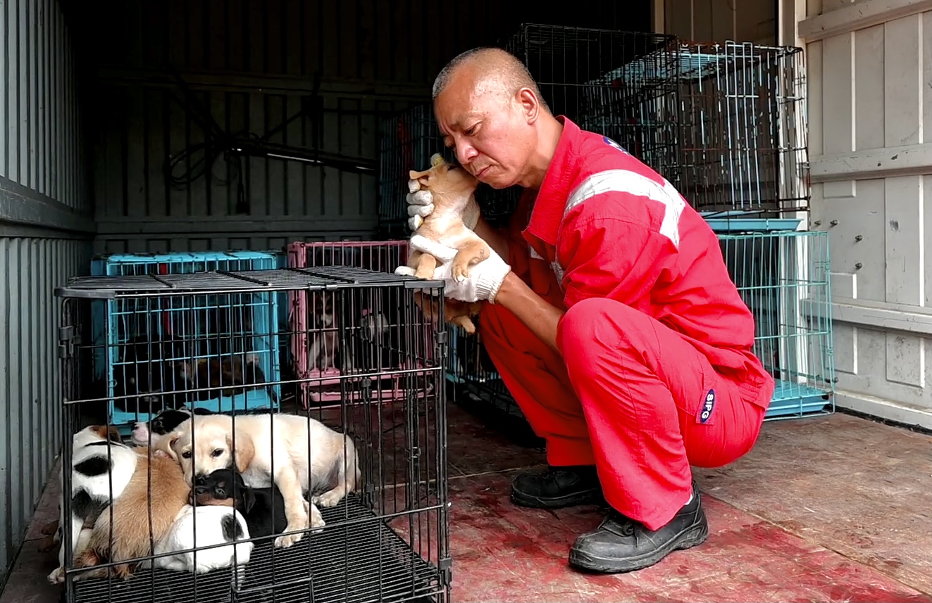 致富经土狗养殖视频_土狗养殖致富新闻_新闻致富养殖土狗事件