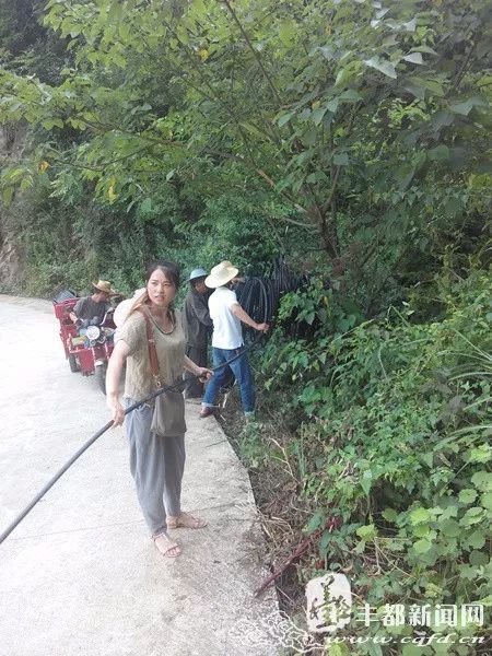 致富养殖业建议问题怎么写_养殖业致富的问题与建议_养殖致富案例
