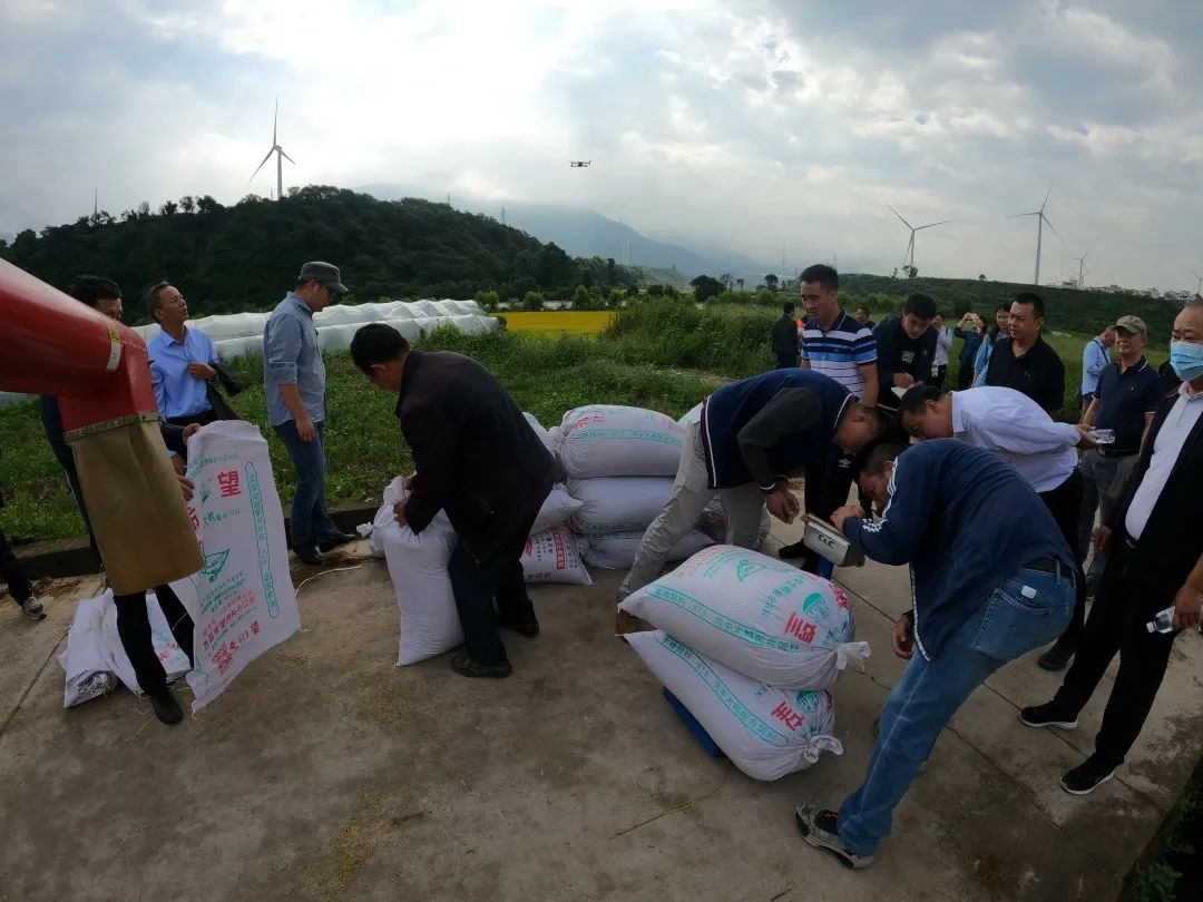 致富经水稻_致富稻种植方法_致富稻种植方法有哪些