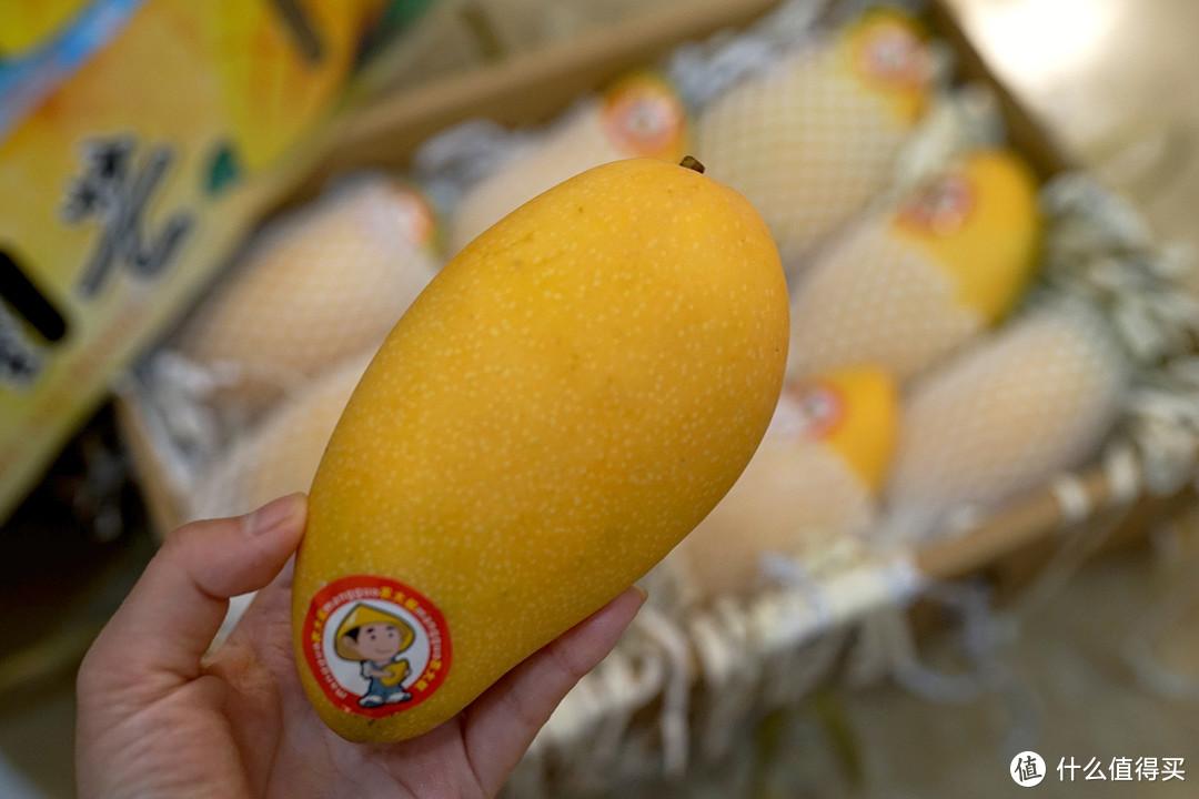 团鱼幼苗怎么养_团鱼养殖新技术_团鱼的养殖