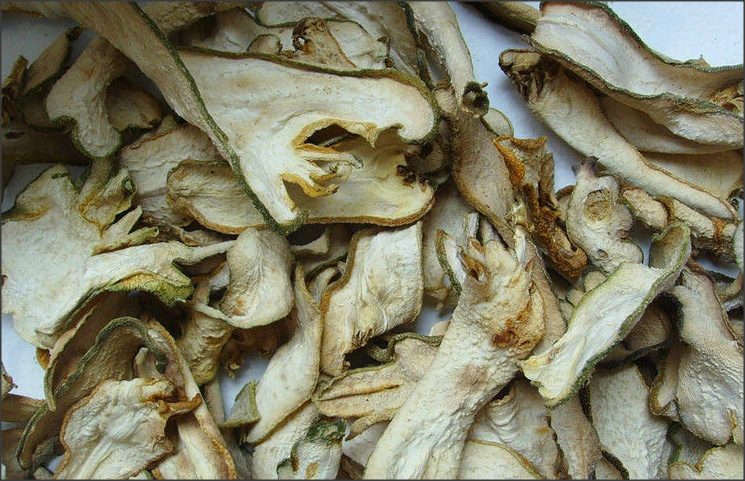 创业项目快讯：今年这些中药材品种的价格持续上涨！