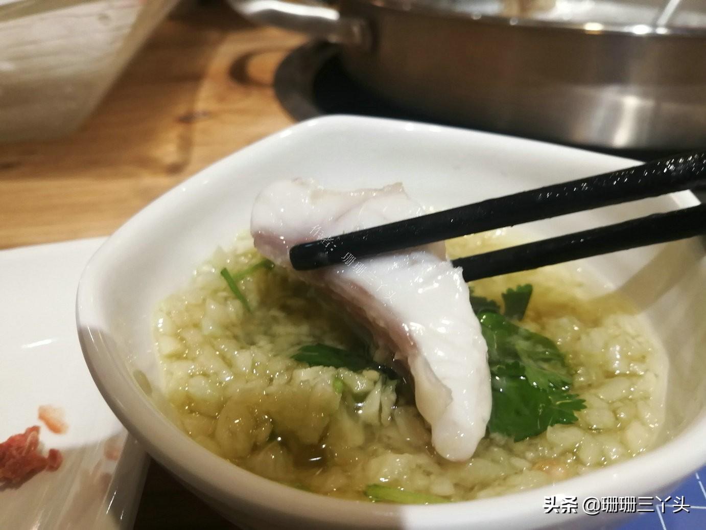 团鱼幼苗怎么养_团鱼养殖新技术_养殖团鱼吃什么饲料