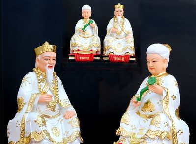 致富经养殖青蛇视频_视频致富养殖青蛇是真的吗_养蛇视频致富经