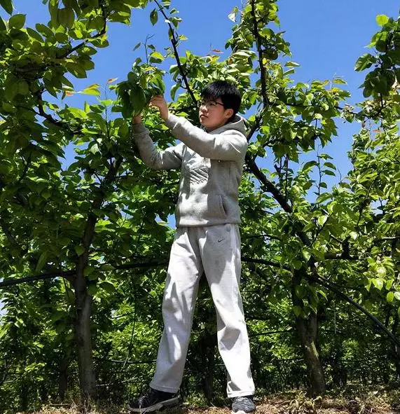 农村青年种植致富_致富种植青年农村的意义_农村种植致富案例