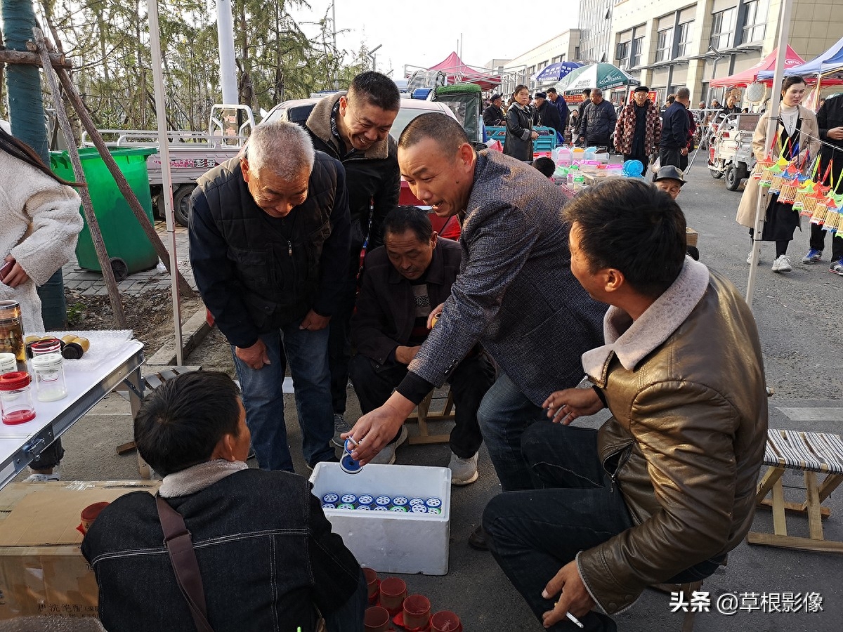 农村大叔喂养稀罕昆虫，一棚盈利5万元：还有电子替代品