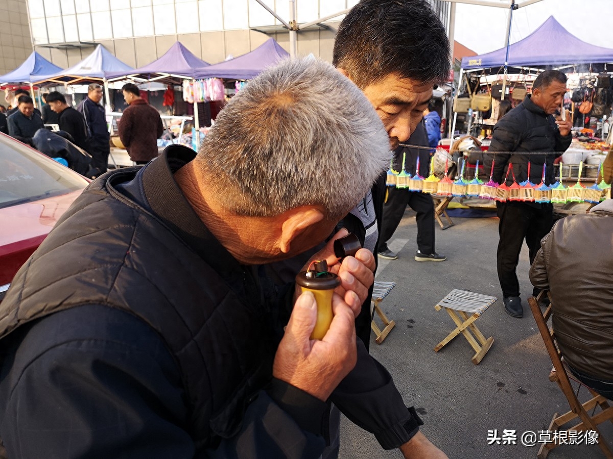 农村大叔喂养稀罕昆虫，一棚盈利5万元：还有电子替代品