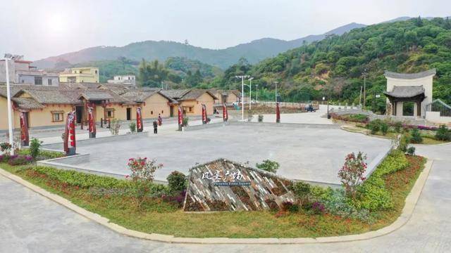 松树养殖致富项目_致富松树养殖项目中标公告_致富经松针养猪视频