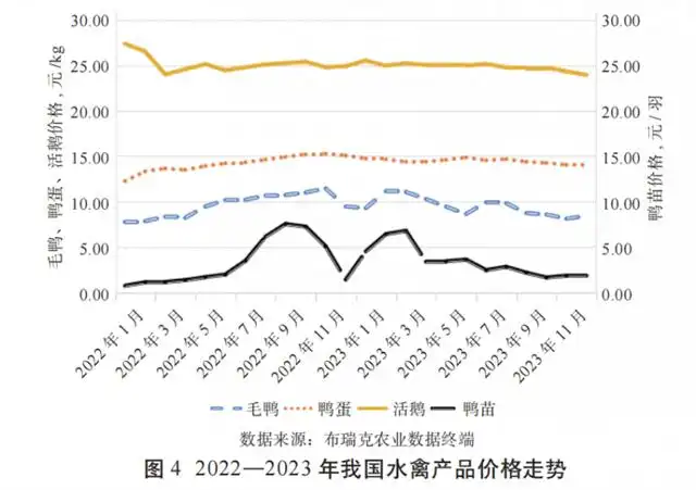 松树养殖致富项目_致富松树养殖项目怎么样_致富松树养殖项目介绍