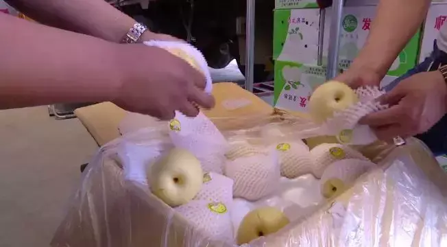 皇冠梨种植致富_皇冠梨种植条件_皇冠梨亩产量