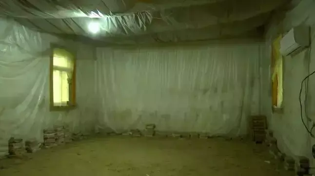 皇冠梨种植致富_皇冠梨亩产量_皇冠梨种植条件