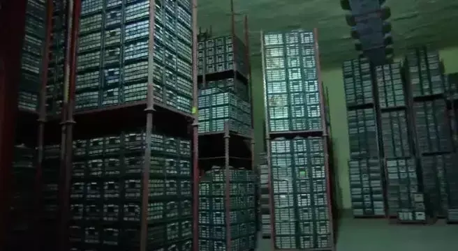 皇冠梨种植致富_皇冠梨亩产量_皇冠梨种植条件
