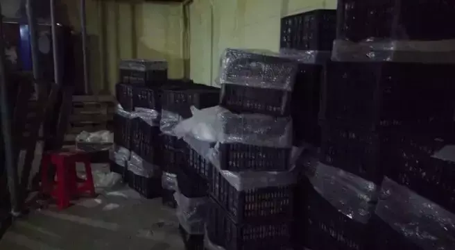 皇冠梨种植条件_皇冠梨种植致富_皇冠梨亩产量