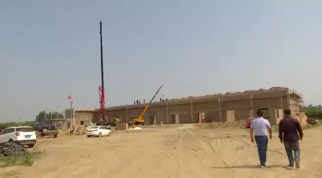 皇冠梨亩产量_皇冠梨种植条件_皇冠梨种植致富