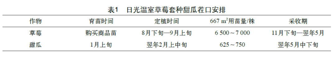 温室草莓怎么种_温室草莓的种植技术视频_温室草莓种植技术及日常管理