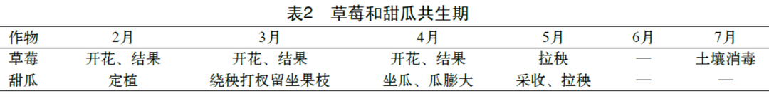 温室草莓的种植技术视频_温室草莓怎么种_温室草莓种植技术及日常管理