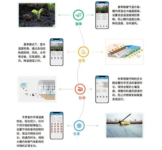 温室草莓的种植技术视频_温室草莓高效优质生产技术_温室草莓种植技术及日常管理