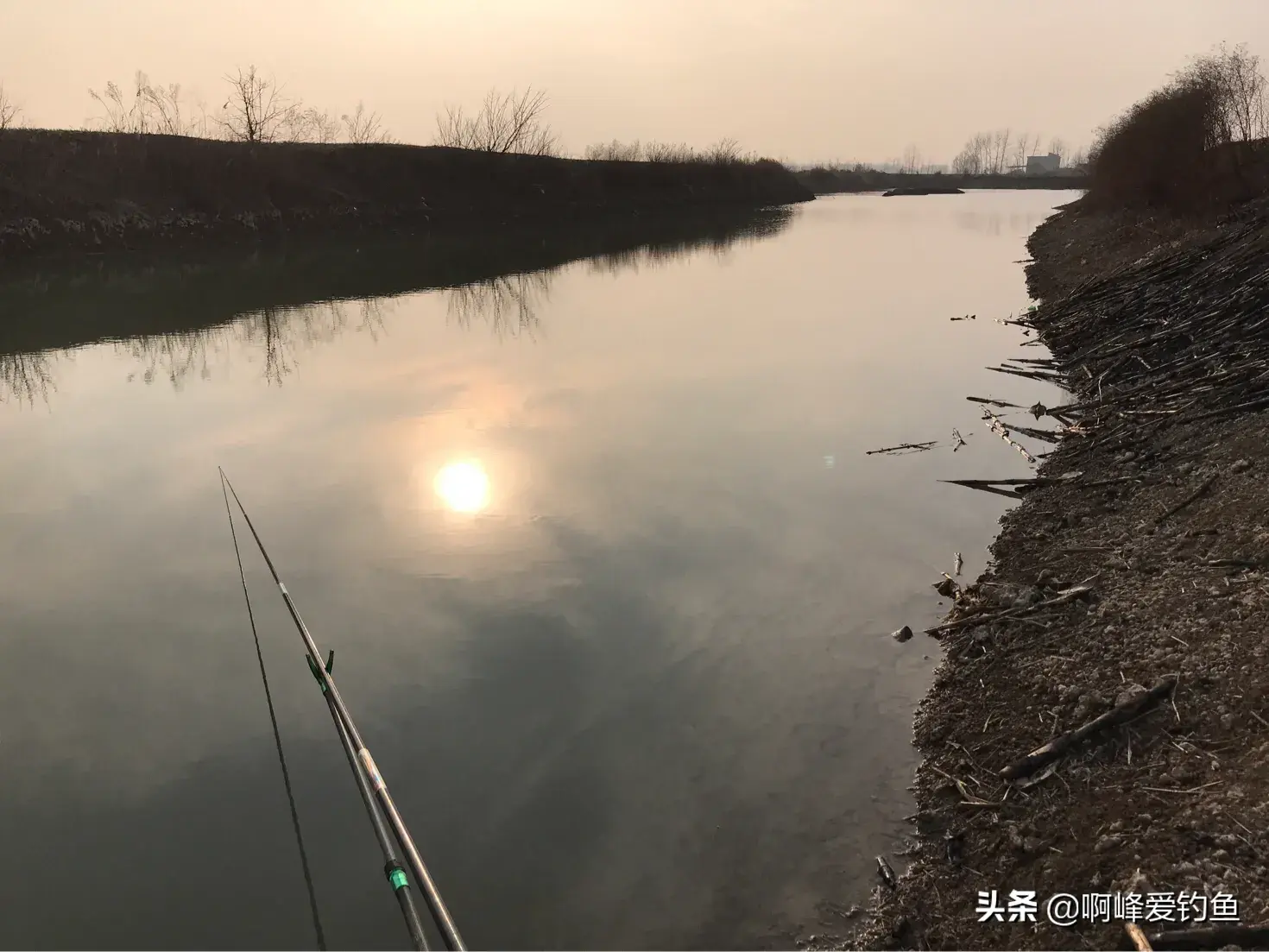 养殖视频致富经_塘鱼养殖技术视频_致富经塘鳢养殖视频