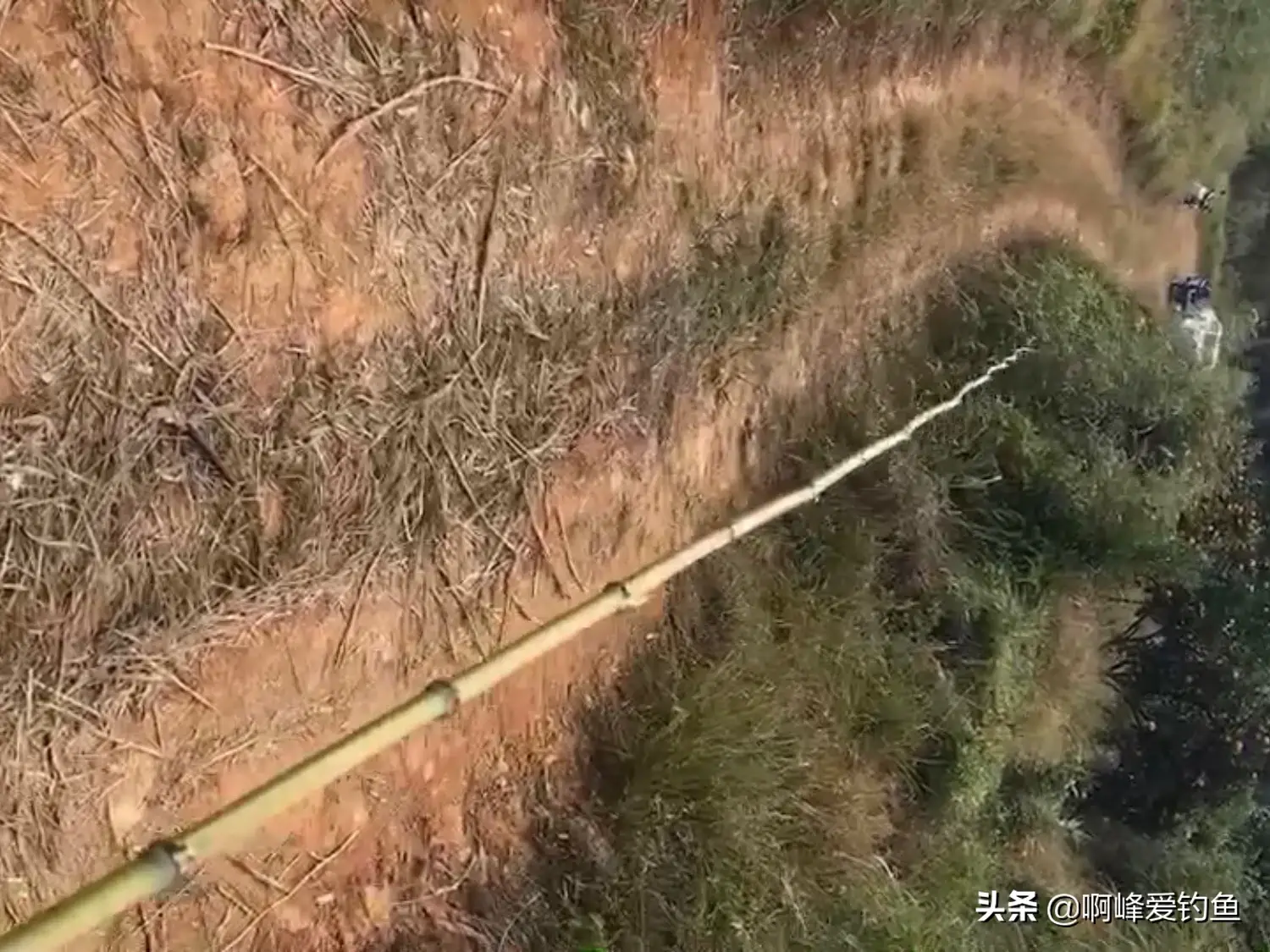 养殖视频致富经_致富经塘鳢养殖视频_塘鱼养殖技术视频