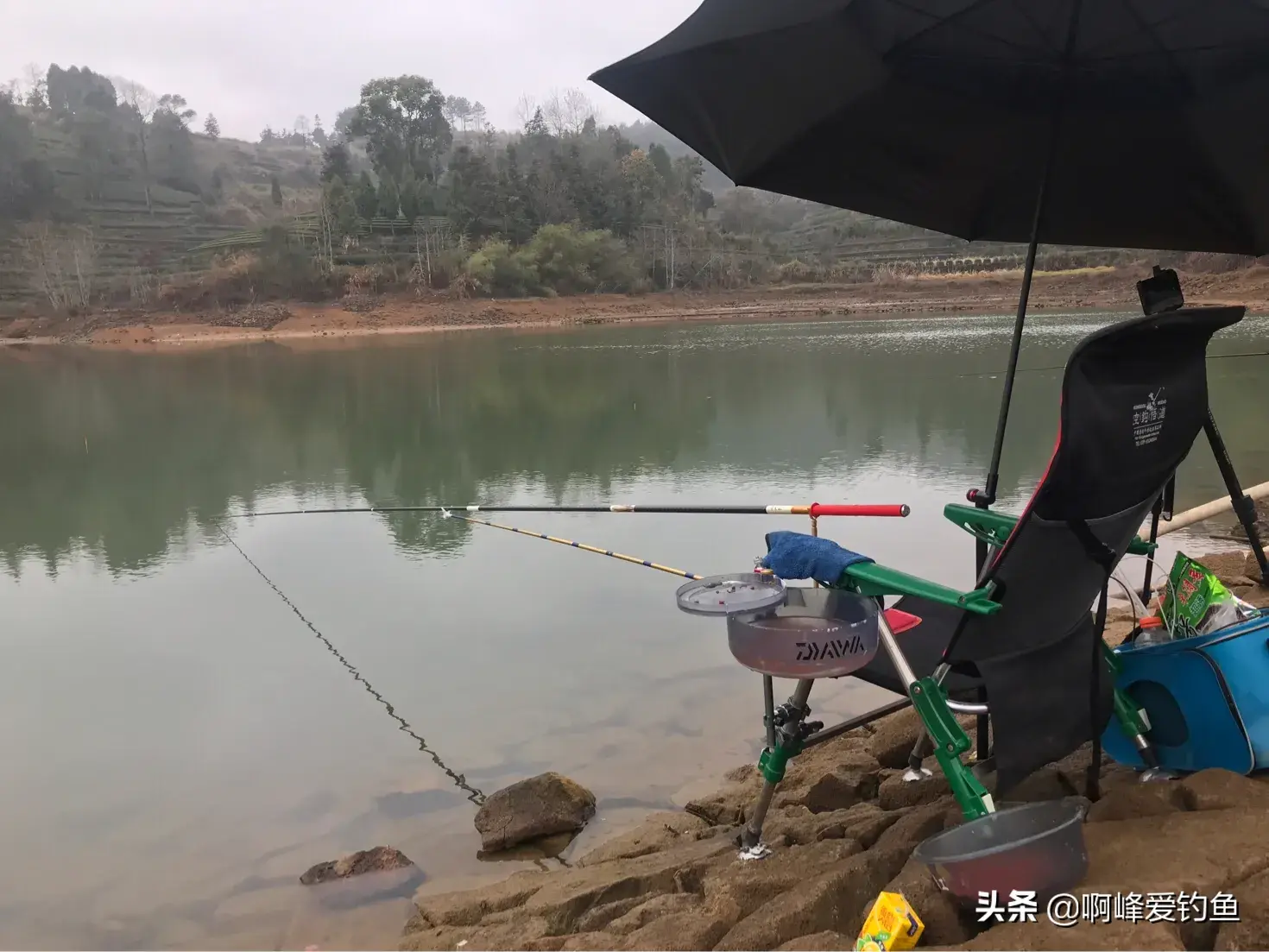 致富经塘鳢养殖视频_养殖视频致富经_塘鱼养殖技术视频