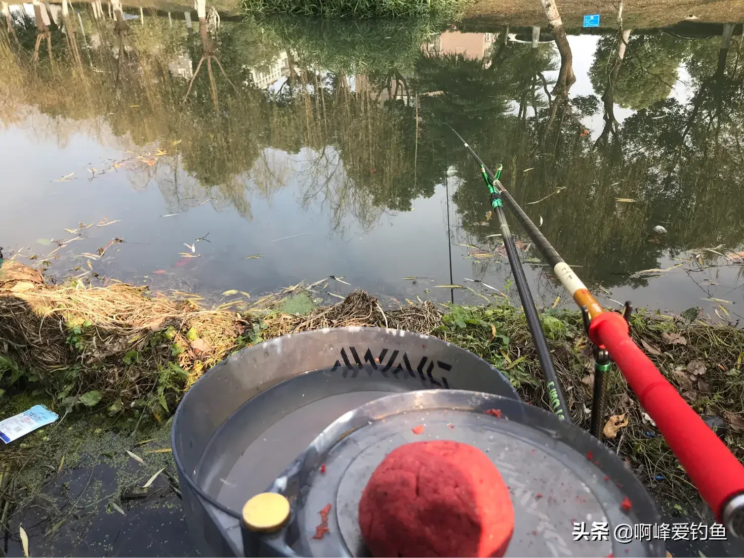 塘鱼养殖技术视频_致富经塘鳢养殖视频_养殖视频致富经