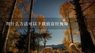用什么方法可以下载致富经视频