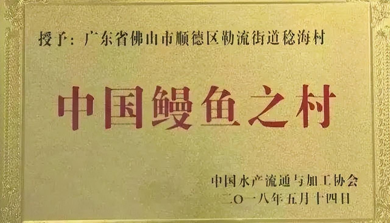培训养殖鳗鱼技术方案_鳗鱼养殖技术培训_养殖鳗鱼心得与体会