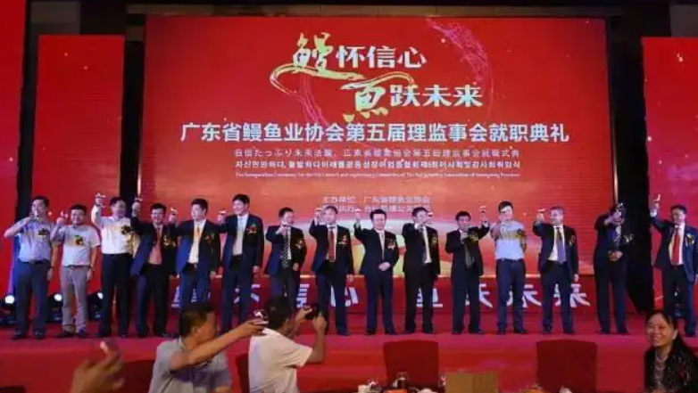 养殖鳗鱼心得与体会_培训养殖鳗鱼技术方案_鳗鱼养殖技术培训