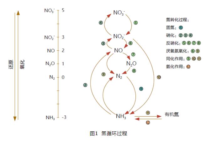 水产养殖废水处理工艺_废水养殖水产治理技术规程_水产养殖废水治理技术