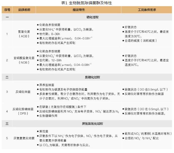 水产养殖废水处理工艺_水产养殖废水治理技术_废水养殖水产治理技术规程