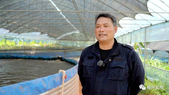 致富养殖獾子视频_致富经养殖獾子_致富养殖獾子怎么样