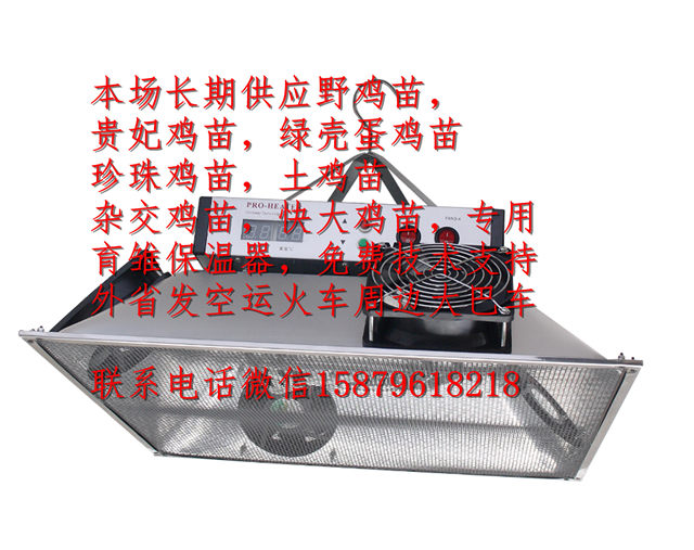 致富养殖药鸡中草药大全_致富经养殖中草药鸡_中草药养鸡配方大全