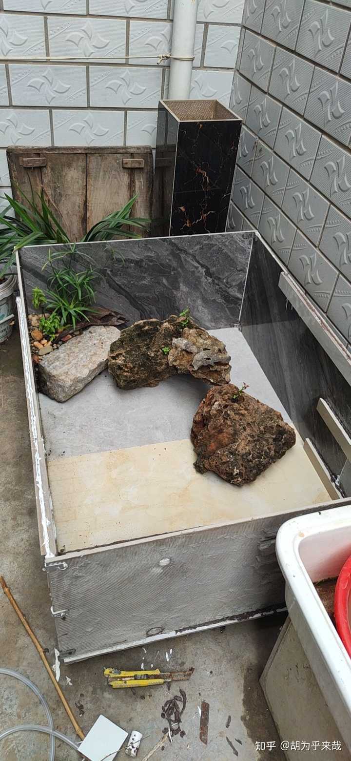 大学生家里养殖致富_致富项目养殖_大学生回家养殖成功案例