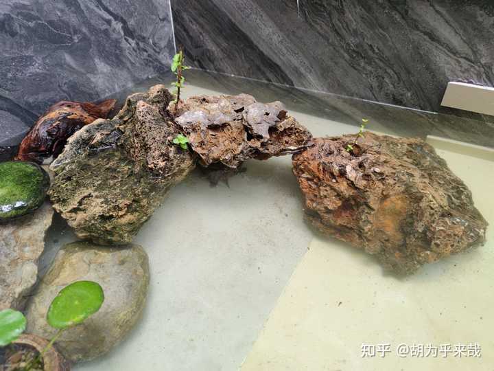 大学生回家养殖成功案例_致富项目养殖_大学生家里养殖致富