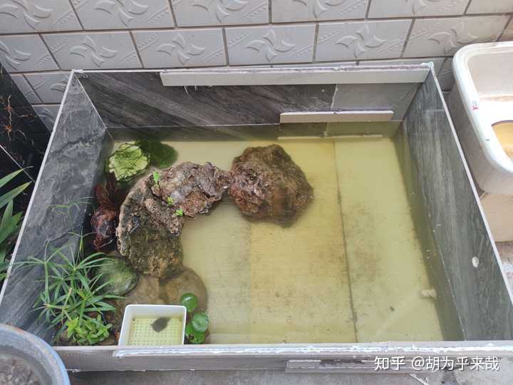 致富项目养殖_大学生家里养殖致富_大学生回家养殖成功案例