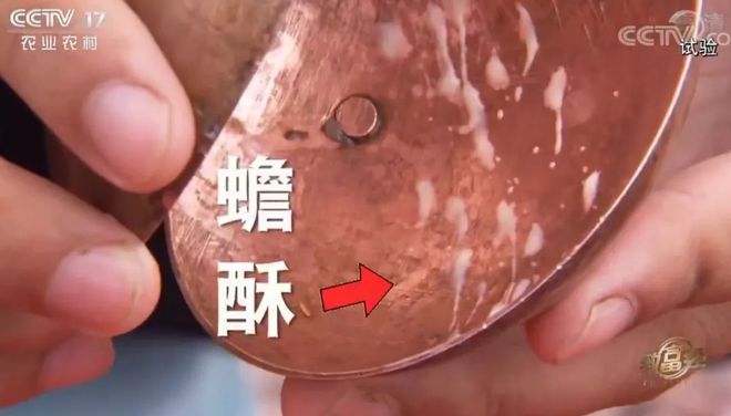罗子攀青蛙致富经_罗子攀青蛙致富经_罗子攀青蛙致富经