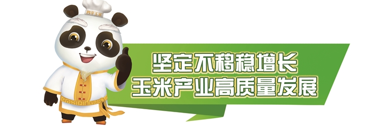 鲜食玉米串起致富增收产业链——梨树县中农种植农民专业合作社大力发展鲜食玉米产业