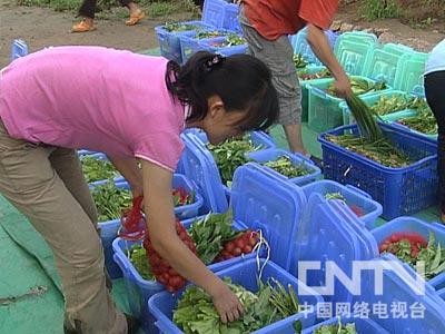 女博士嫁给富豪_致富经女博士种芽苗菜_女博士 致富经